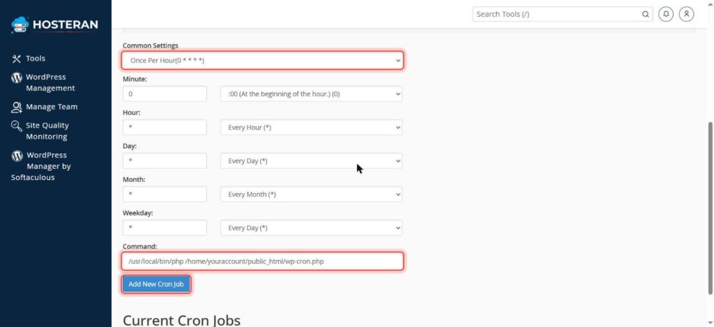 cPanel Add New Cron Job form