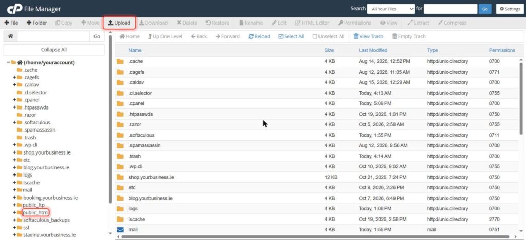 cPanel File Manager with public_html and Upload highlighted